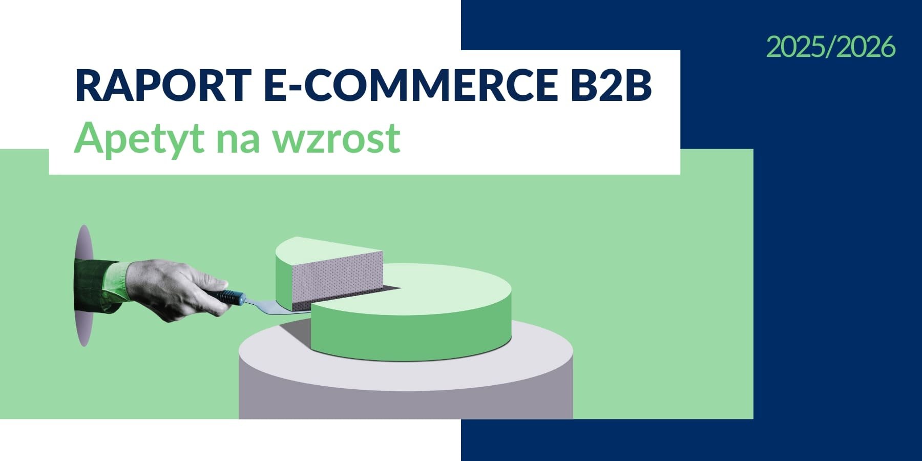 blog-raport-ecommerce-b2b-tpay-min
